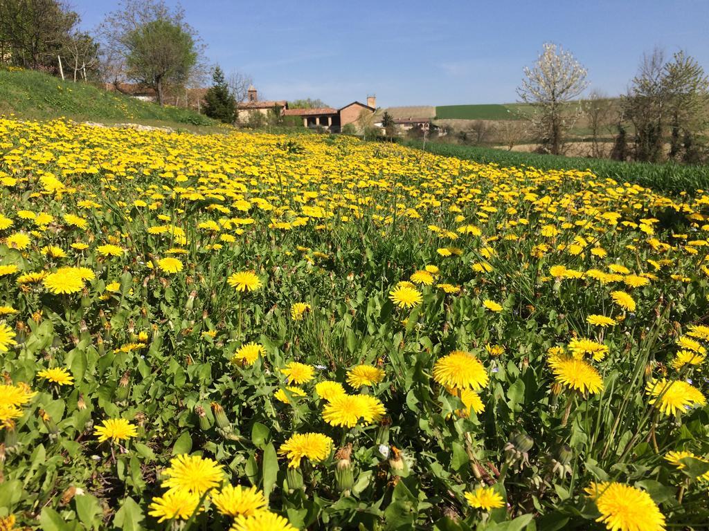 Affittacamere Cascina Vicentini Alfiano Natta Esterno foto
