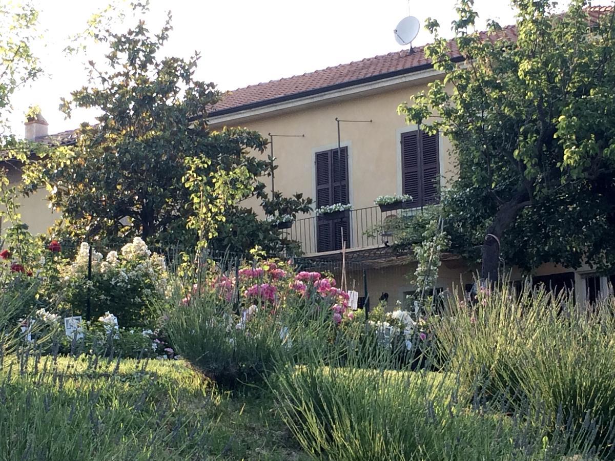 Affittacamere Cascina Vicentini Alfiano Natta Esterno foto