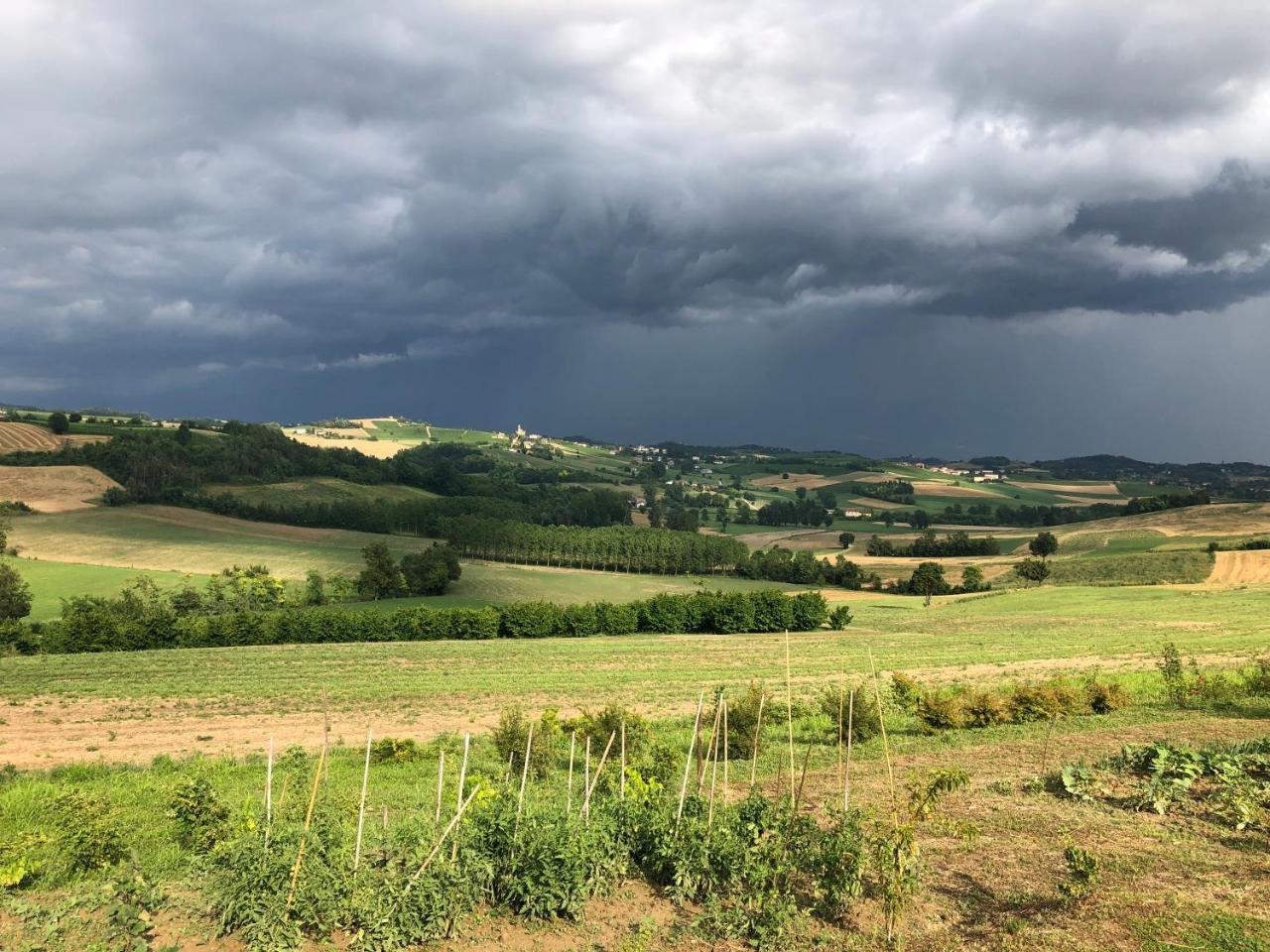 Affittacamere Cascina Vicentini Alfiano Natta Esterno foto