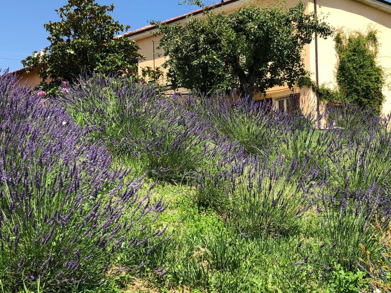 Affittacamere Cascina Vicentini Alfiano Natta Esterno foto