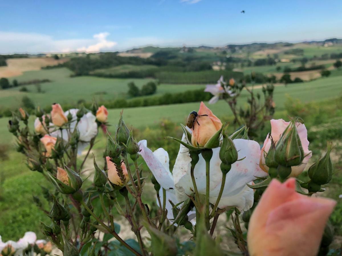 Affittacamere Cascina Vicentini Alfiano Natta Esterno foto